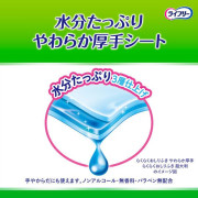 日本製 Unicharm Lifree 成人 長者 清潔 加厚水分超柔濕紙巾 72枚